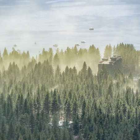 Pollen above Lake Tahoe