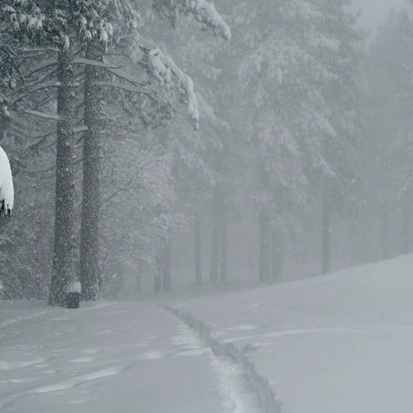 Tahoe Snowpocalypse: Why We Love Our Wild Winters