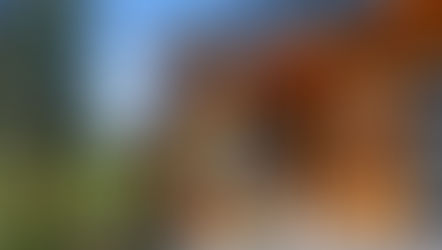 Lake Tahoe Real Estate Momentum: 2026 Sales Surge Signals a Strong and Balanced Market