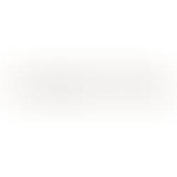 Casa Tua Logo with the words spelled out in all capitals in an olive brown color