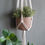 Thumbnail: Plantenhanger ‘Smile’