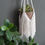 Thumbnail: Plantenhanger ‘Frills’