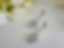 Thumbnail: Sold Out! Marquise CZ Bridal Earrings BRER4032
