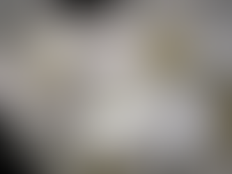 maisoncastiglione_parfum_boisdeseringat