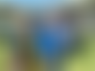 Diwali Festival Hobart 2024