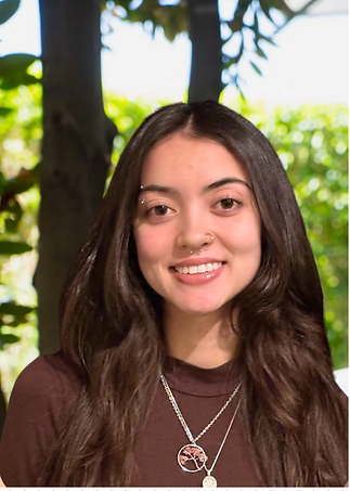 Screenshot 2025-01-27 at 8.52.08 PM.png