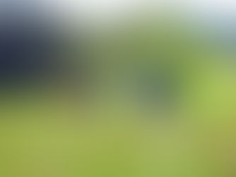 Stage en Contact Improvisation