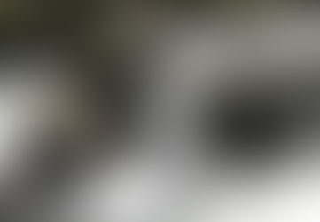 Stage de Body-Mind Centering®