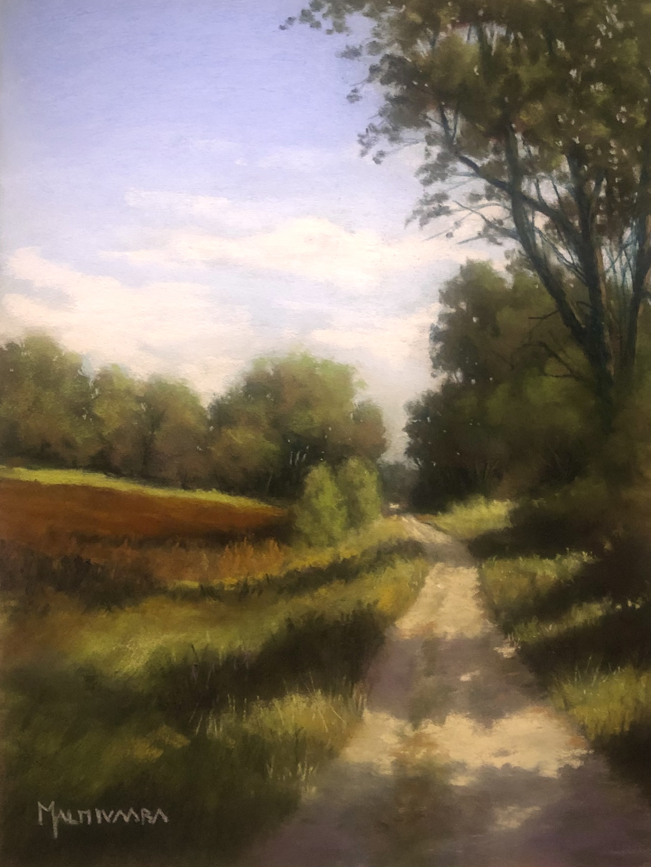 Road by the field