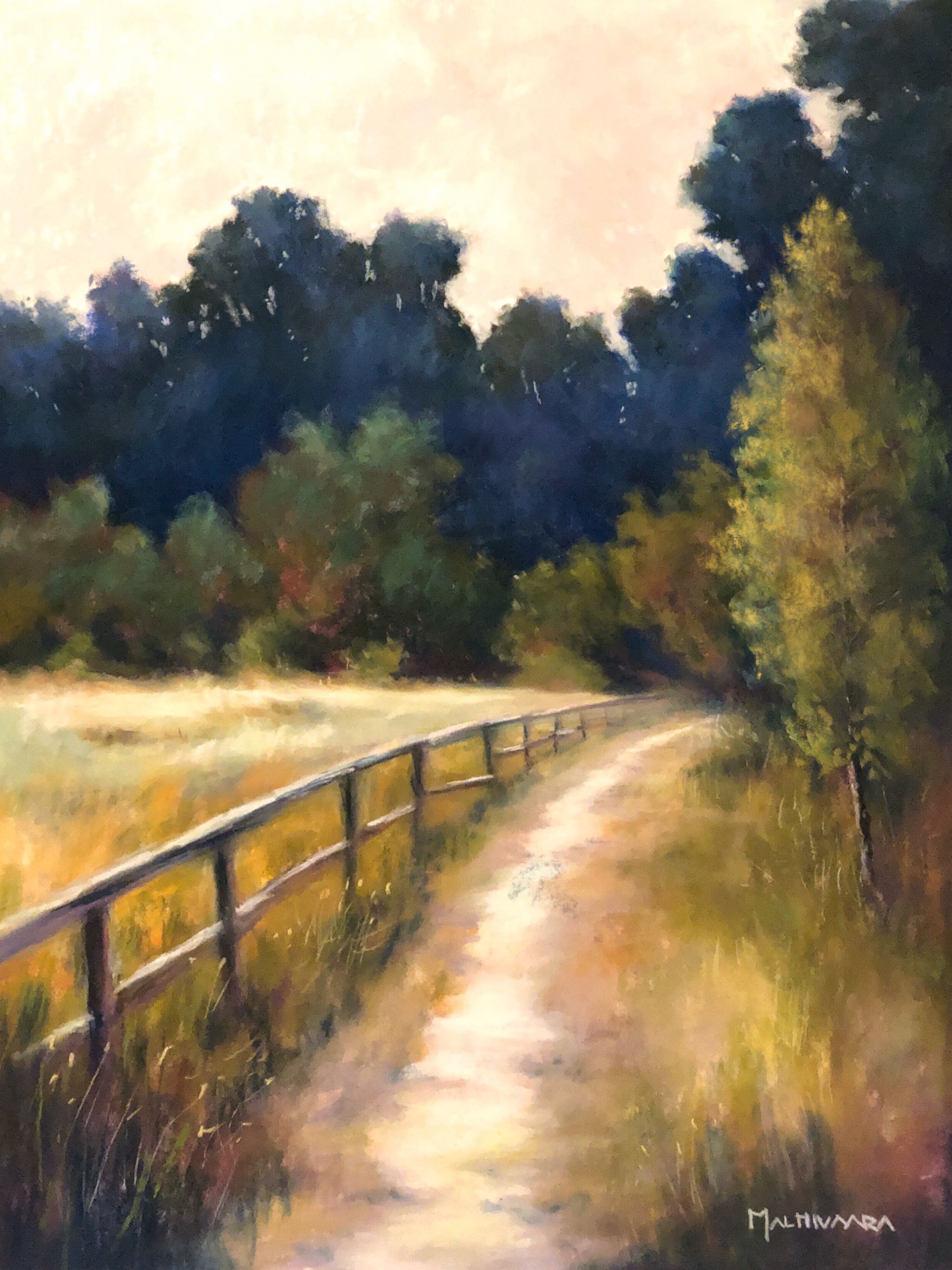 Path by the Fence