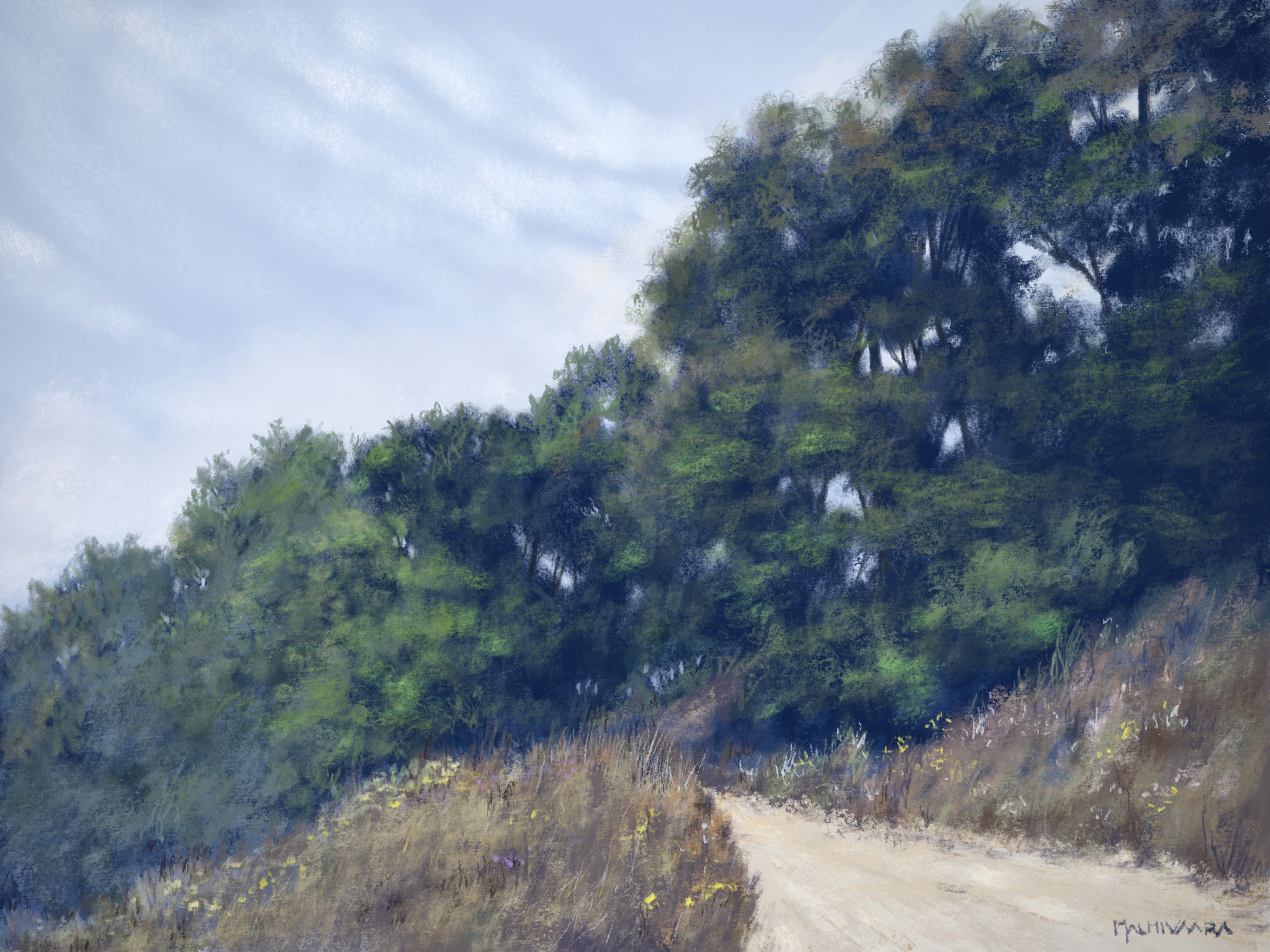 Sloping Meadow