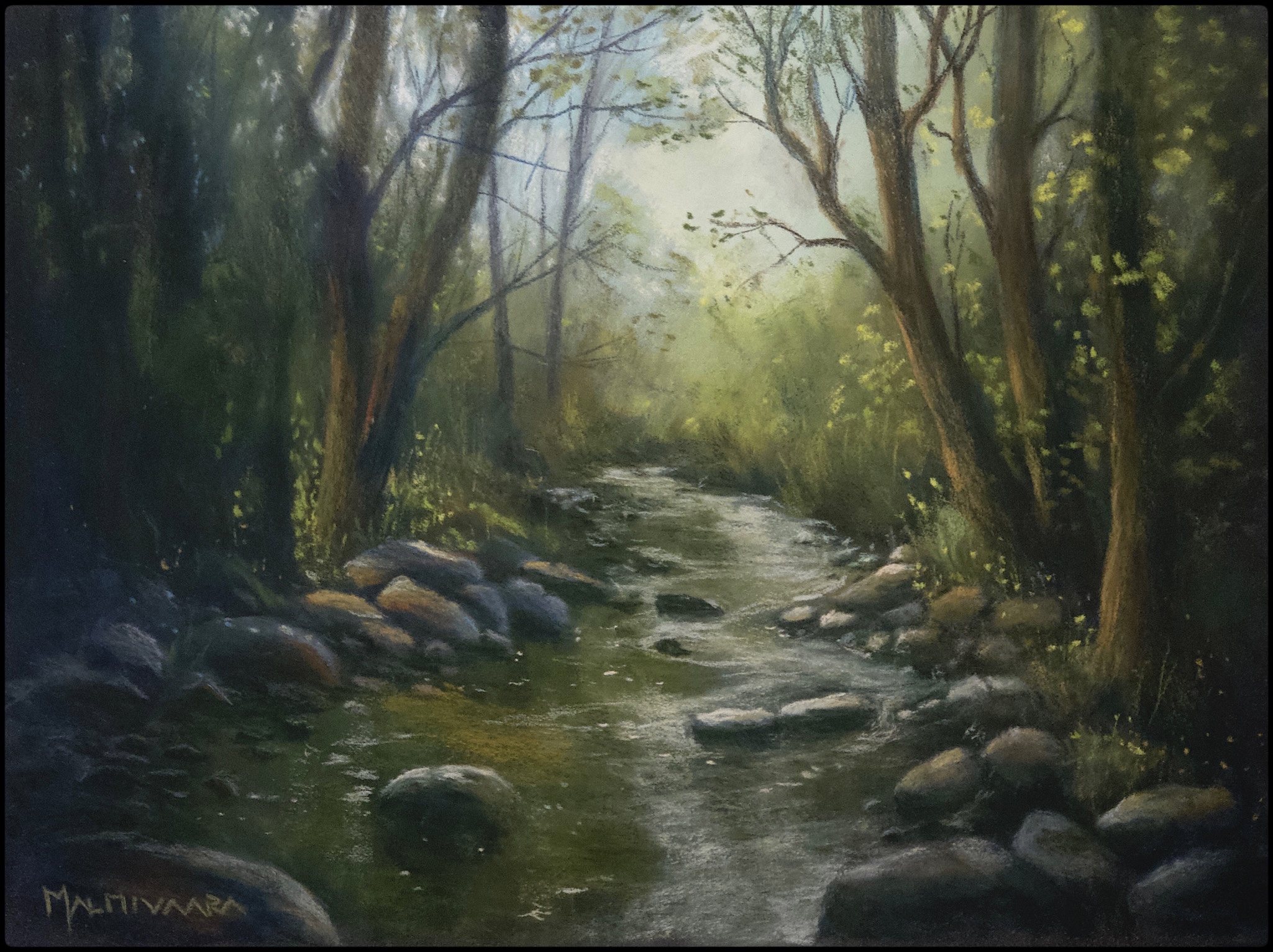 Shady Creek