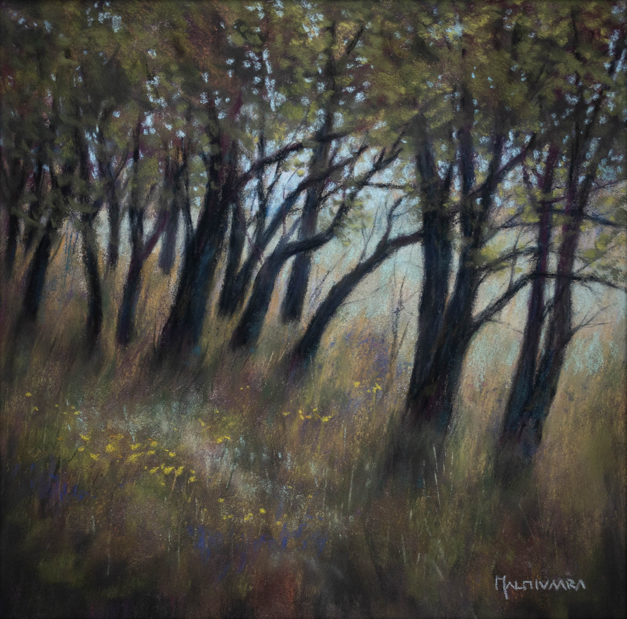 Meadow by the sea