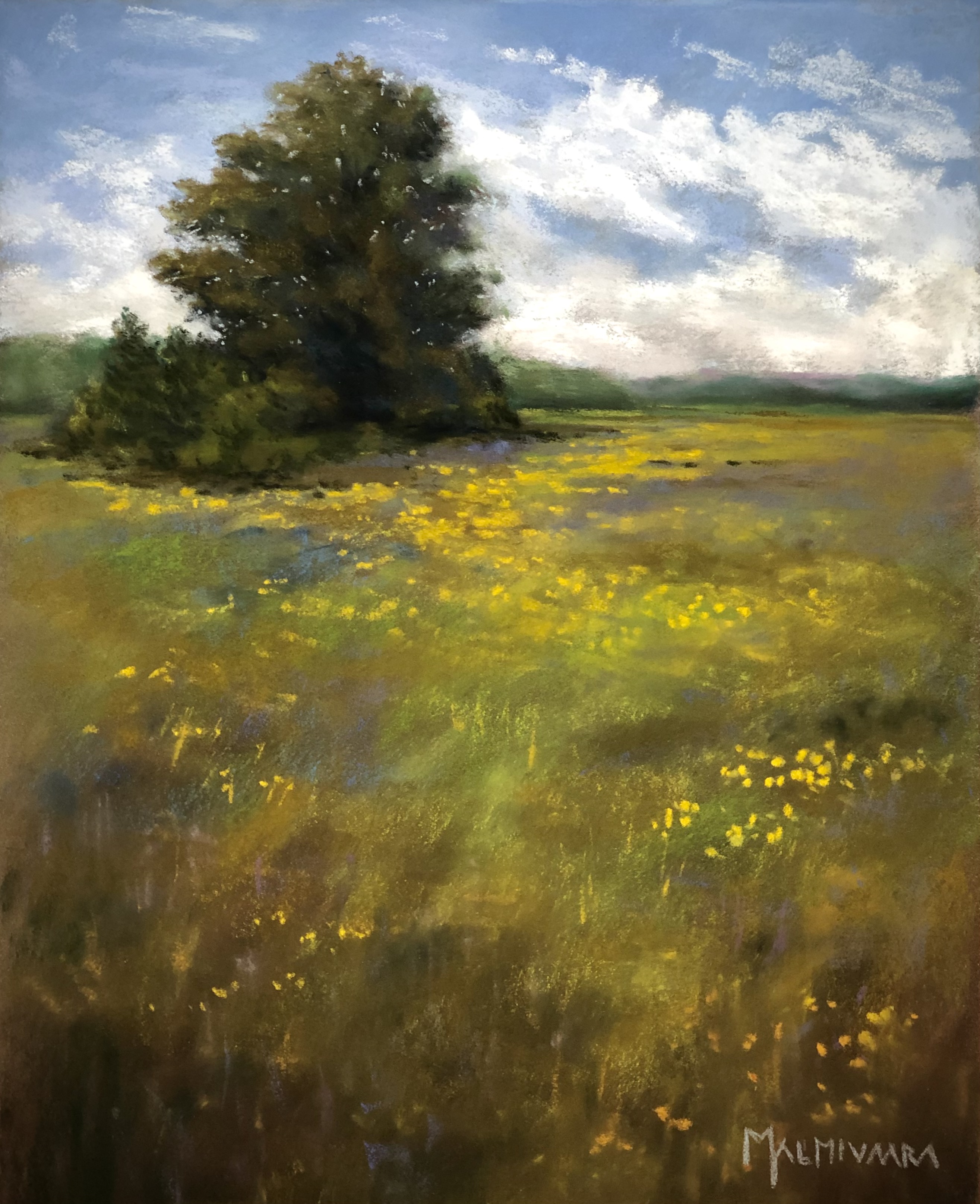 On the meadow