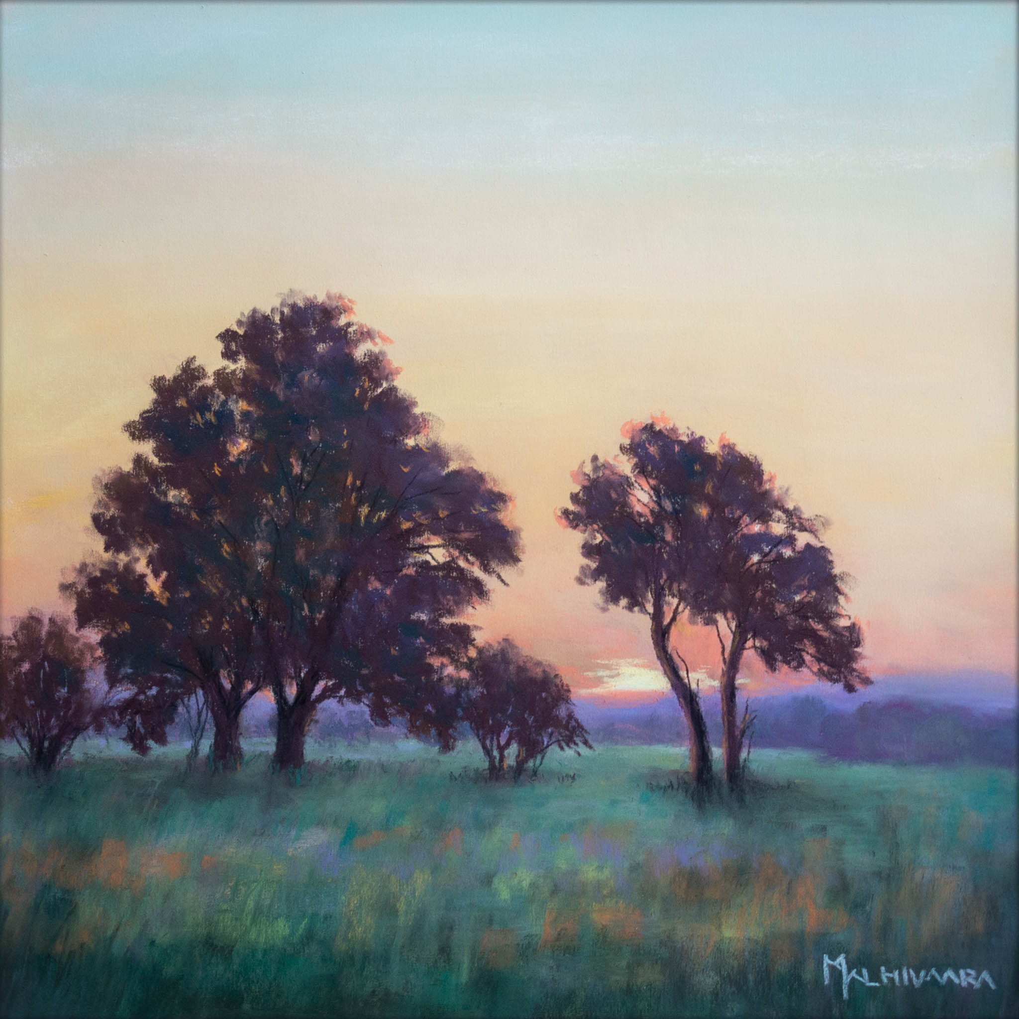 Meadow at dusk