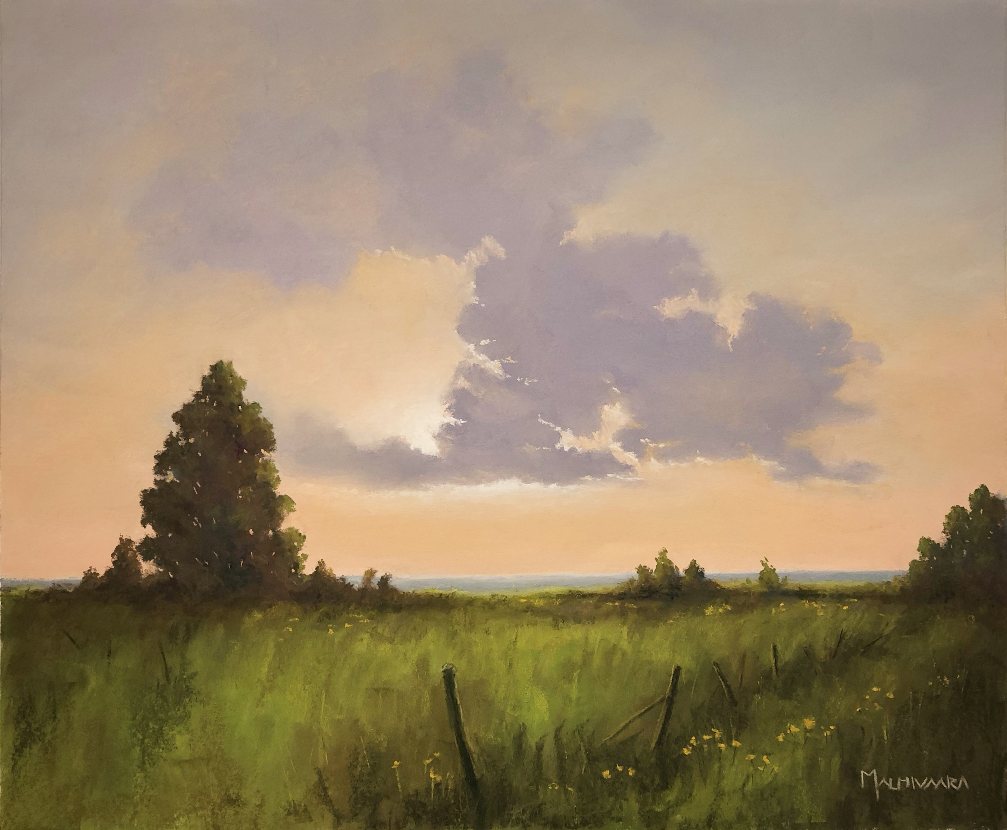 Seaside meadow