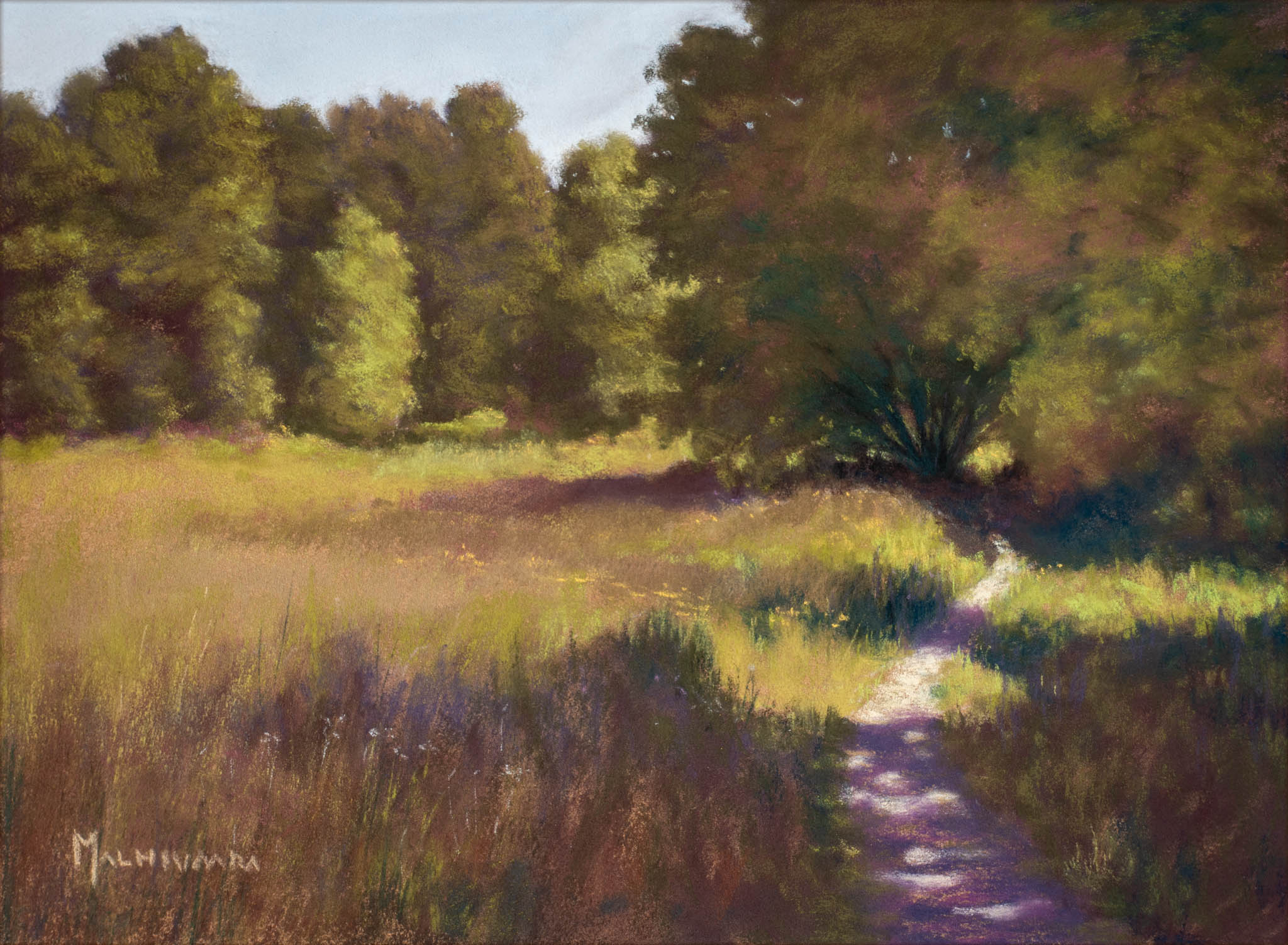 Path by the meadow