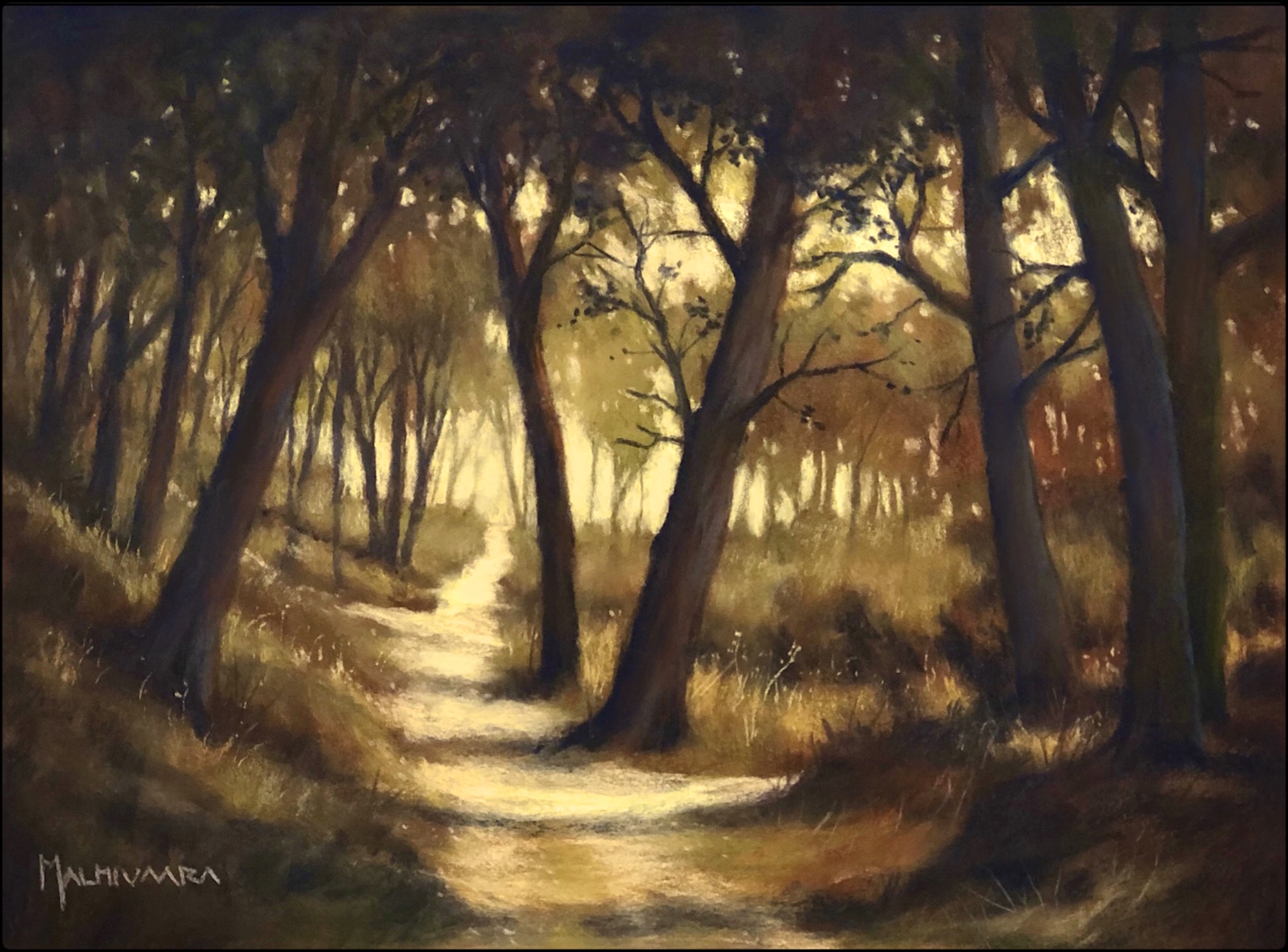 Forest Path
