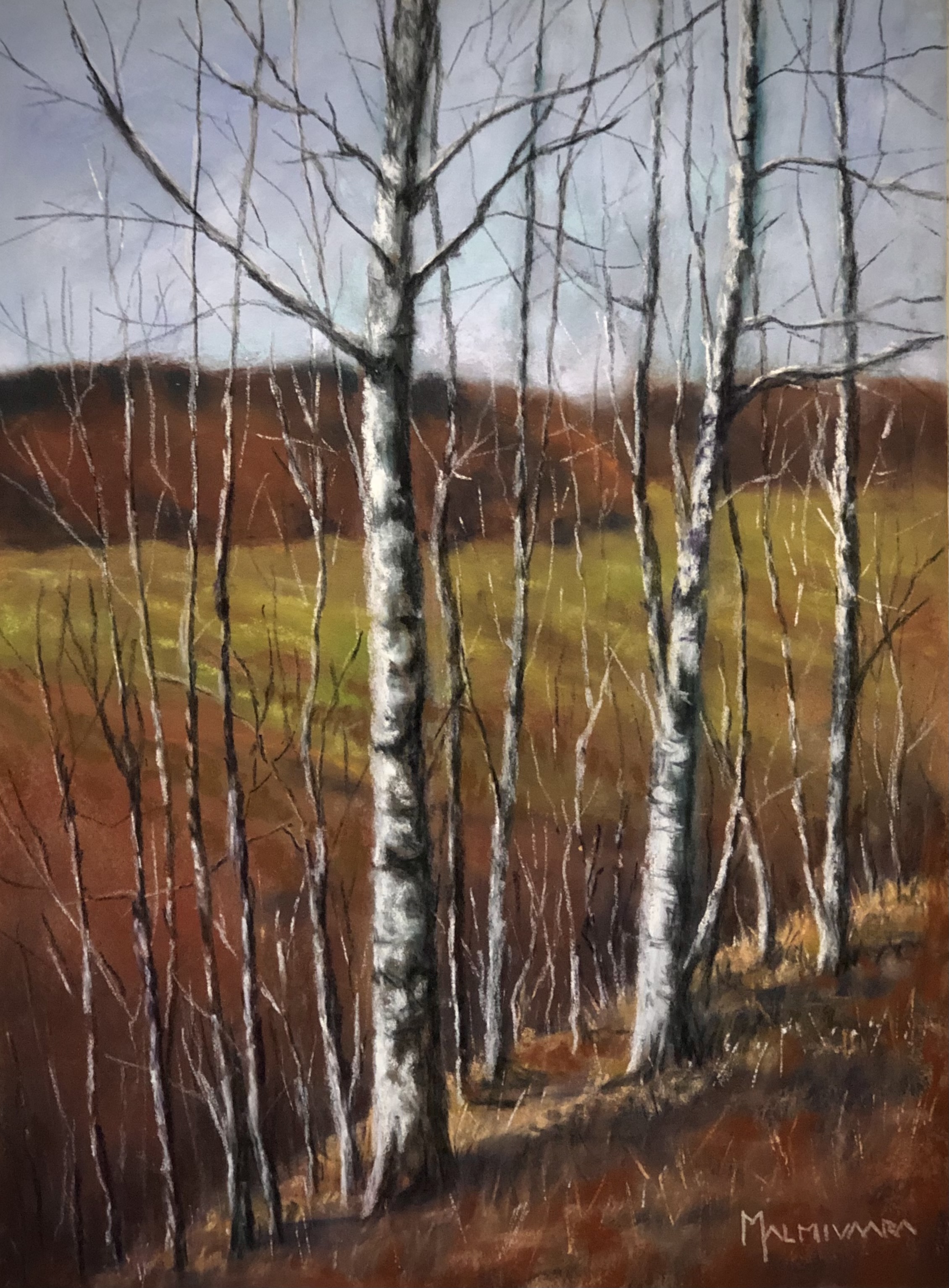 Birchtrees