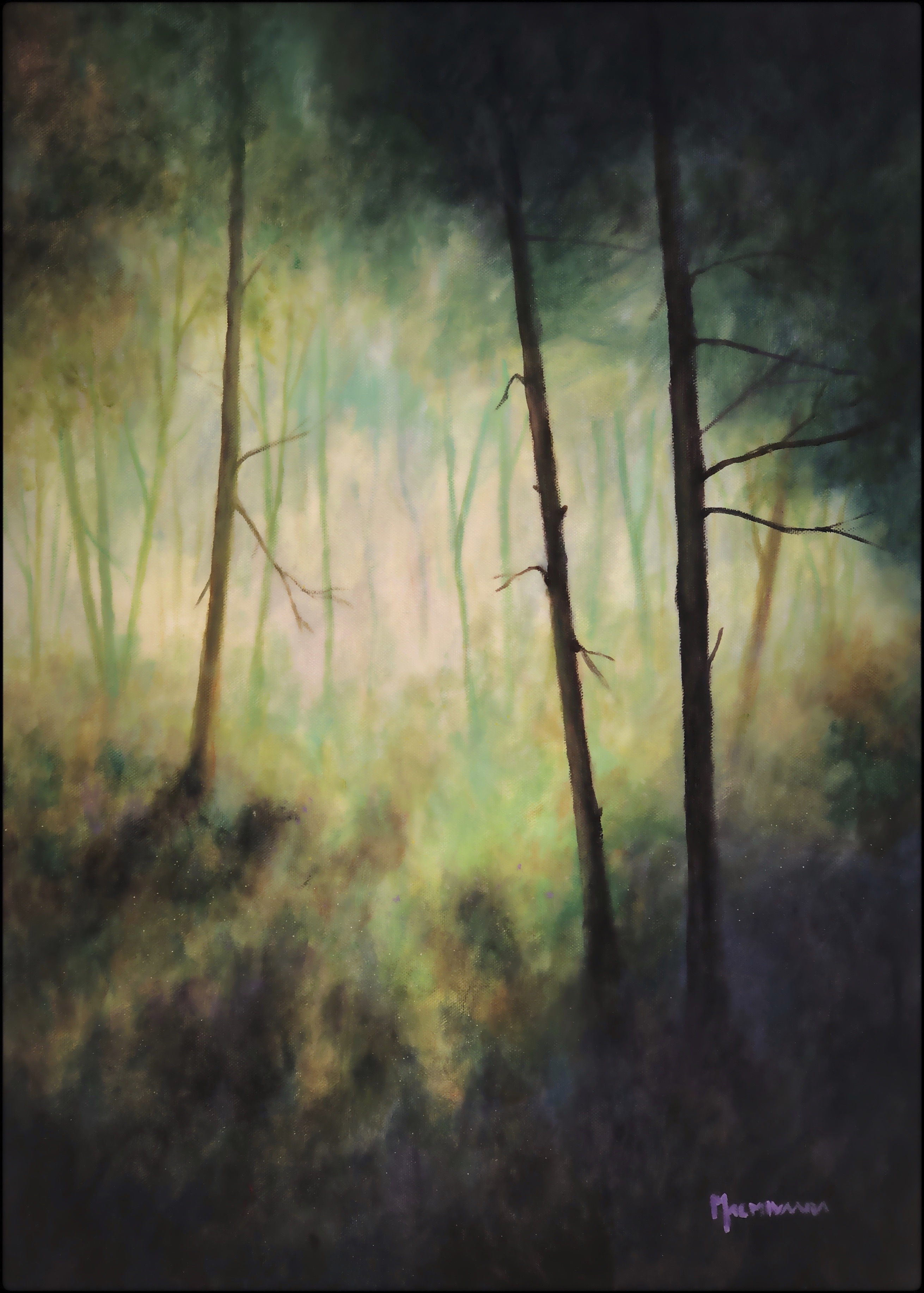Forest’s Edge