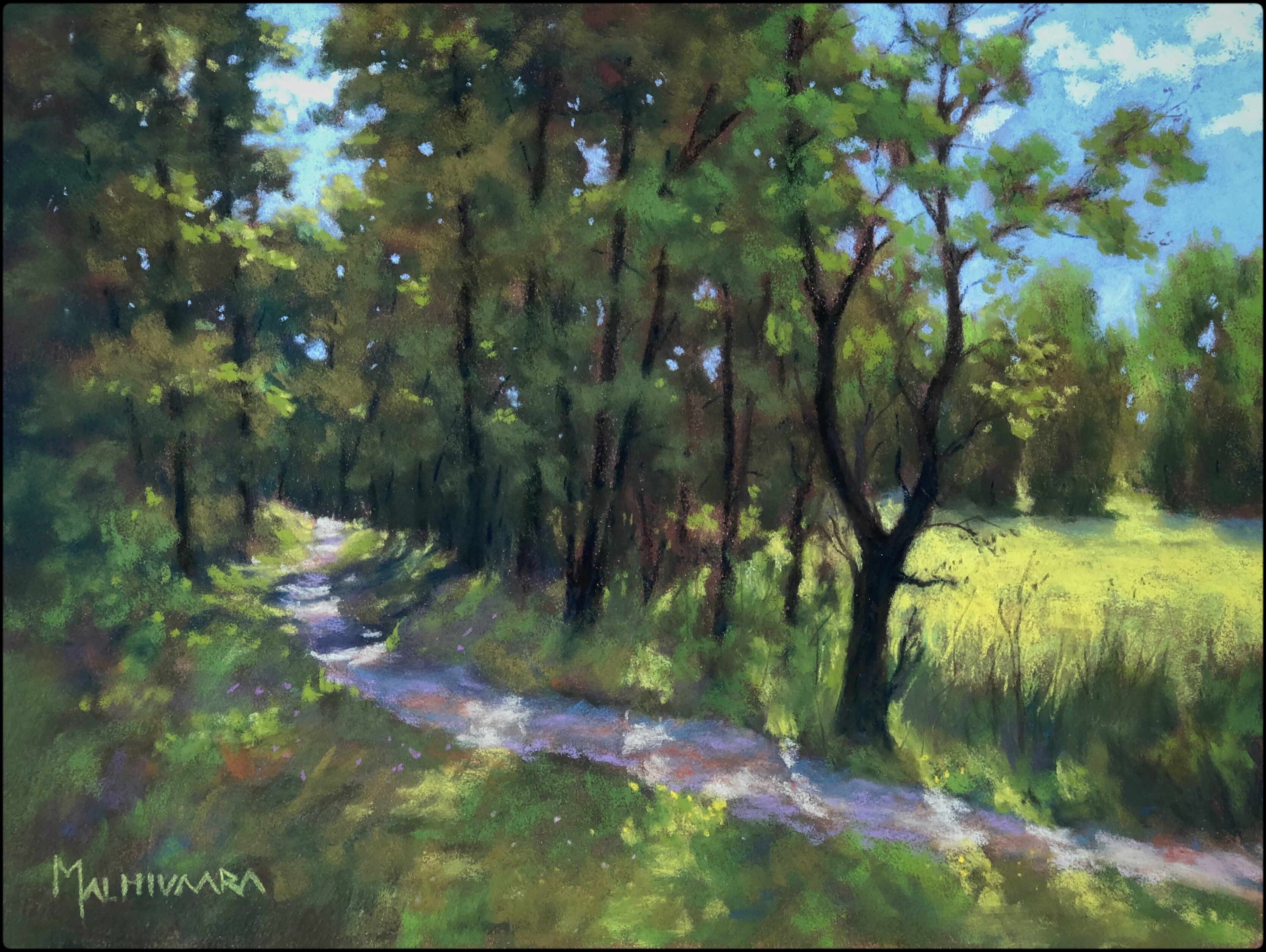 Path in a small forest