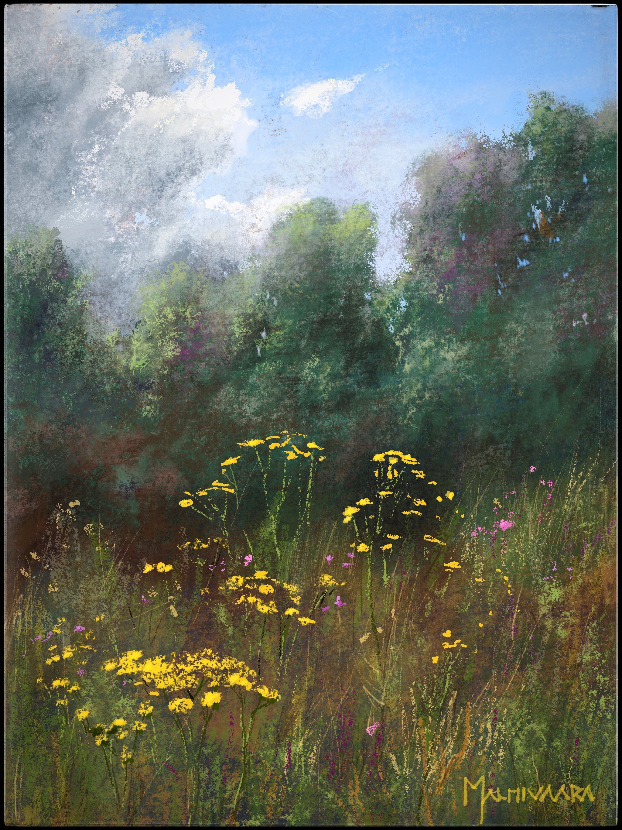 Summer Meadow