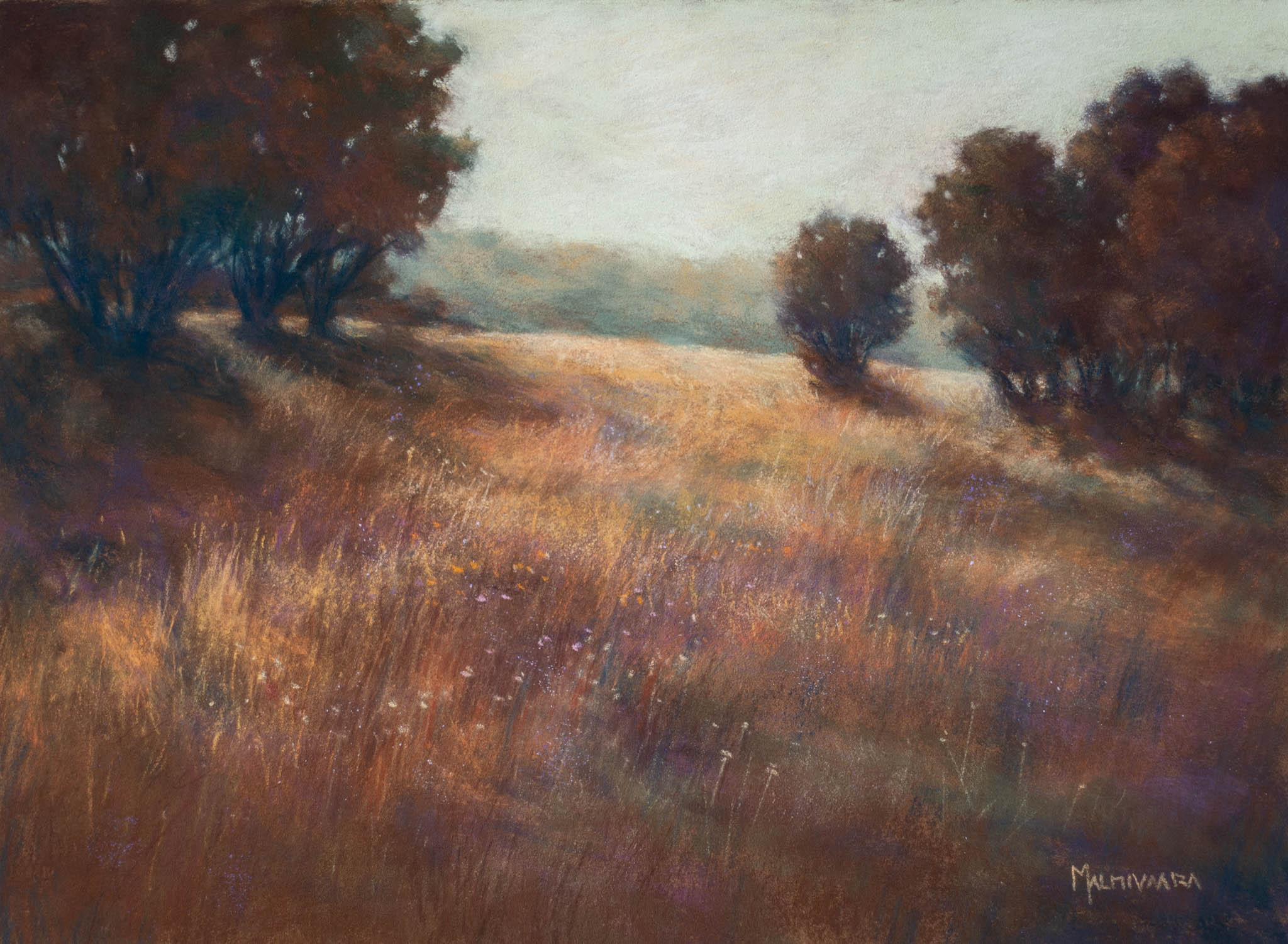 Enchanted Meadow