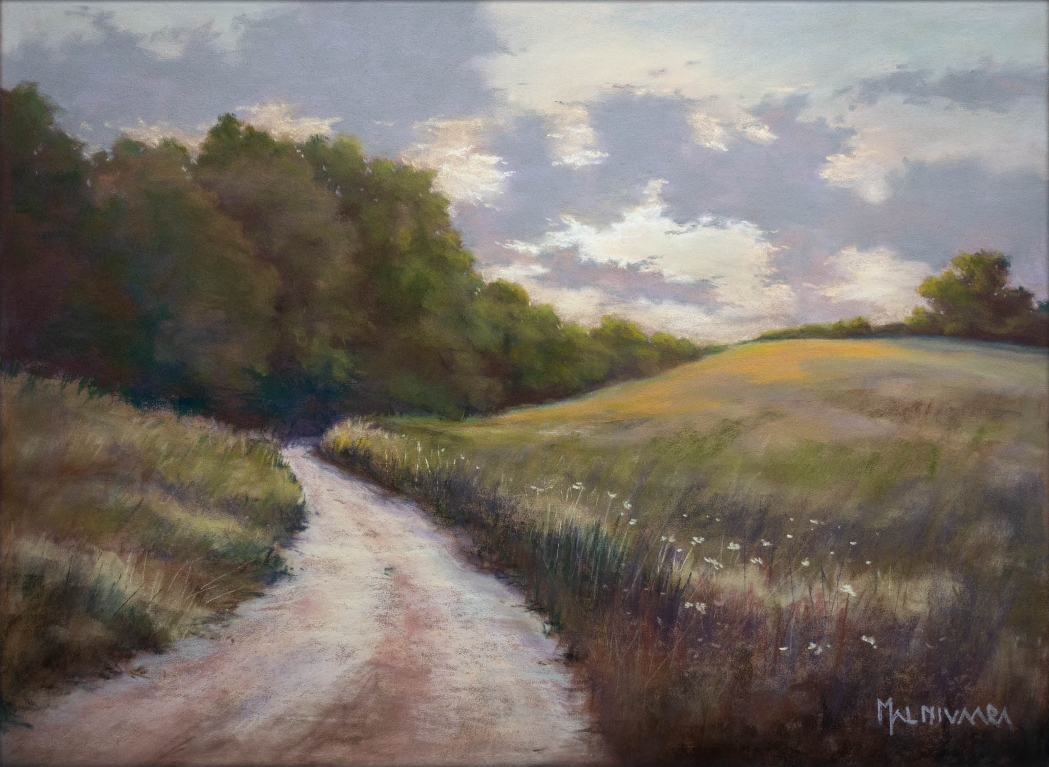 Morning Light