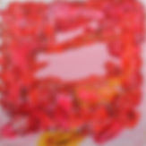 Cassidy_Catherine_Forest_Clearing_122x12