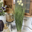 Thumbnail: Onion grass bundle