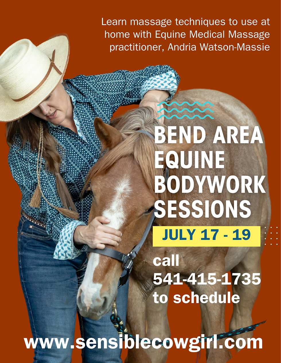 Bend Area Equine Bodywork Sessions
