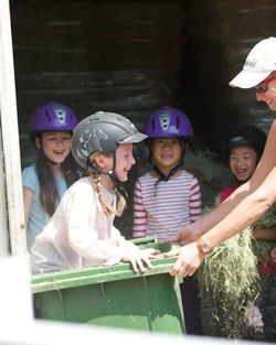 Pony camp (Shelter is unavailable)