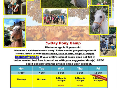 Few spaces left in October pony camp!✨🔥🔥