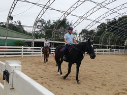 Adult riding