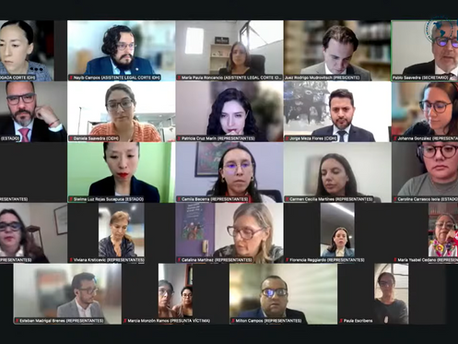 Facts and Norms Institute's analysis incorporated by the Inter-American Court in the Ramos Durand Case