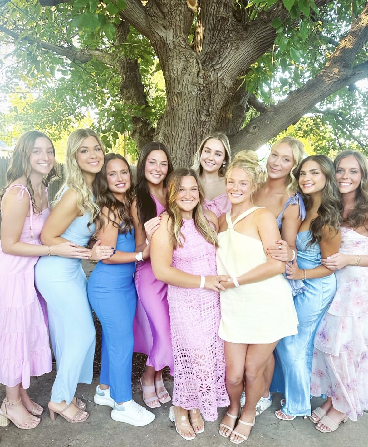 Alpha Phi gallery image 4