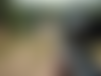 Find Top Firearms Training Near You