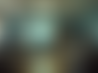 Master Firearms Training for Safety and Skill