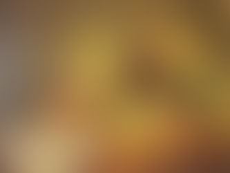 Huile sur toile de Walter Stasierowski - nature morte