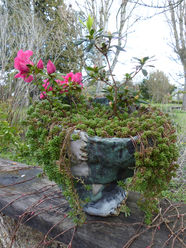 yoga chinon céramique anne martini