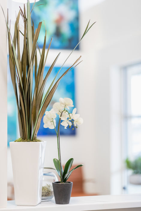 Jackson George Dental Care by Dexios Design-30