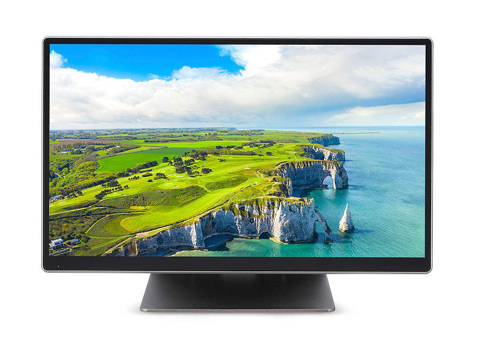 HD Monitor