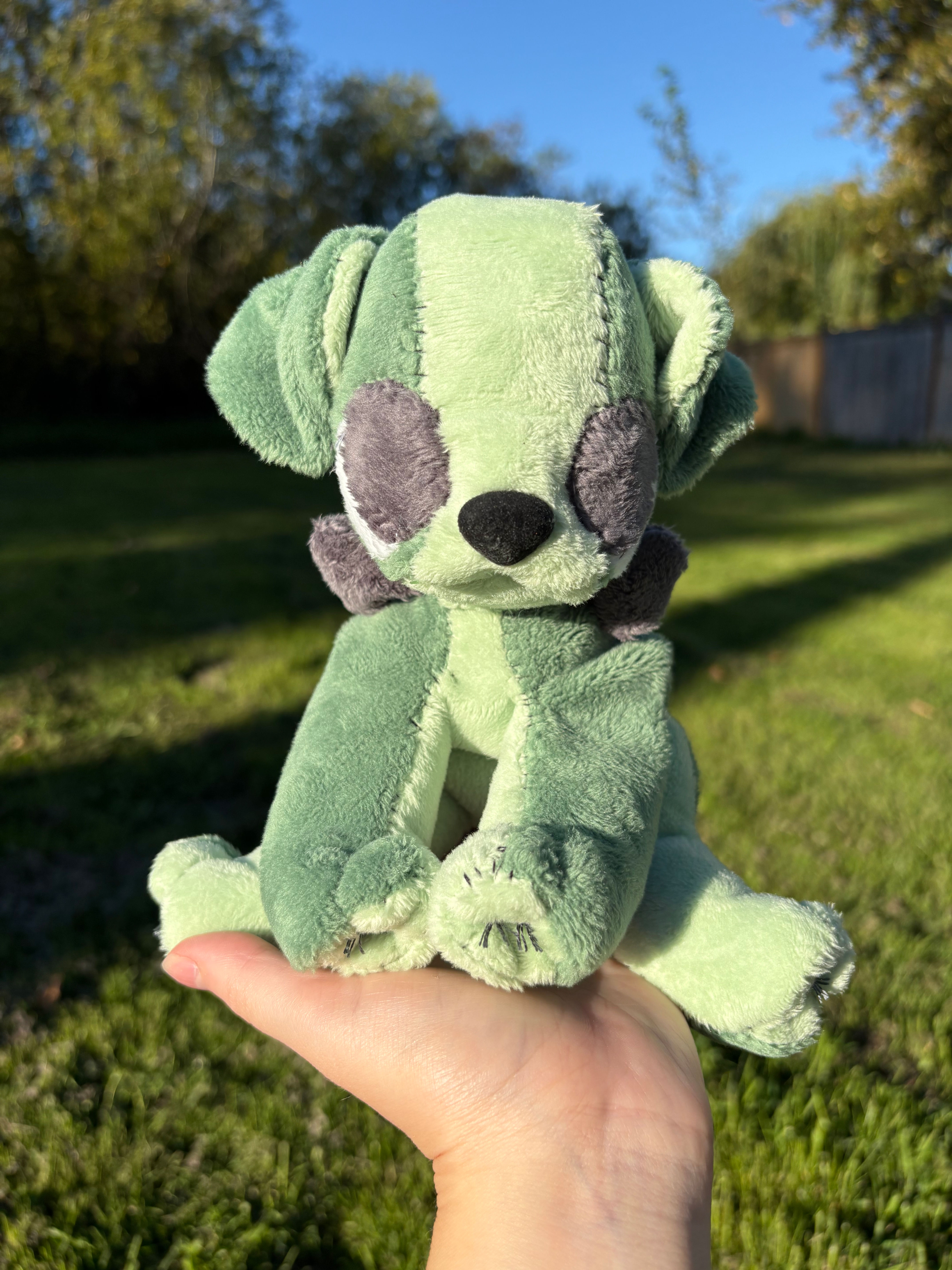 Frankie the FrankenPuppy!
