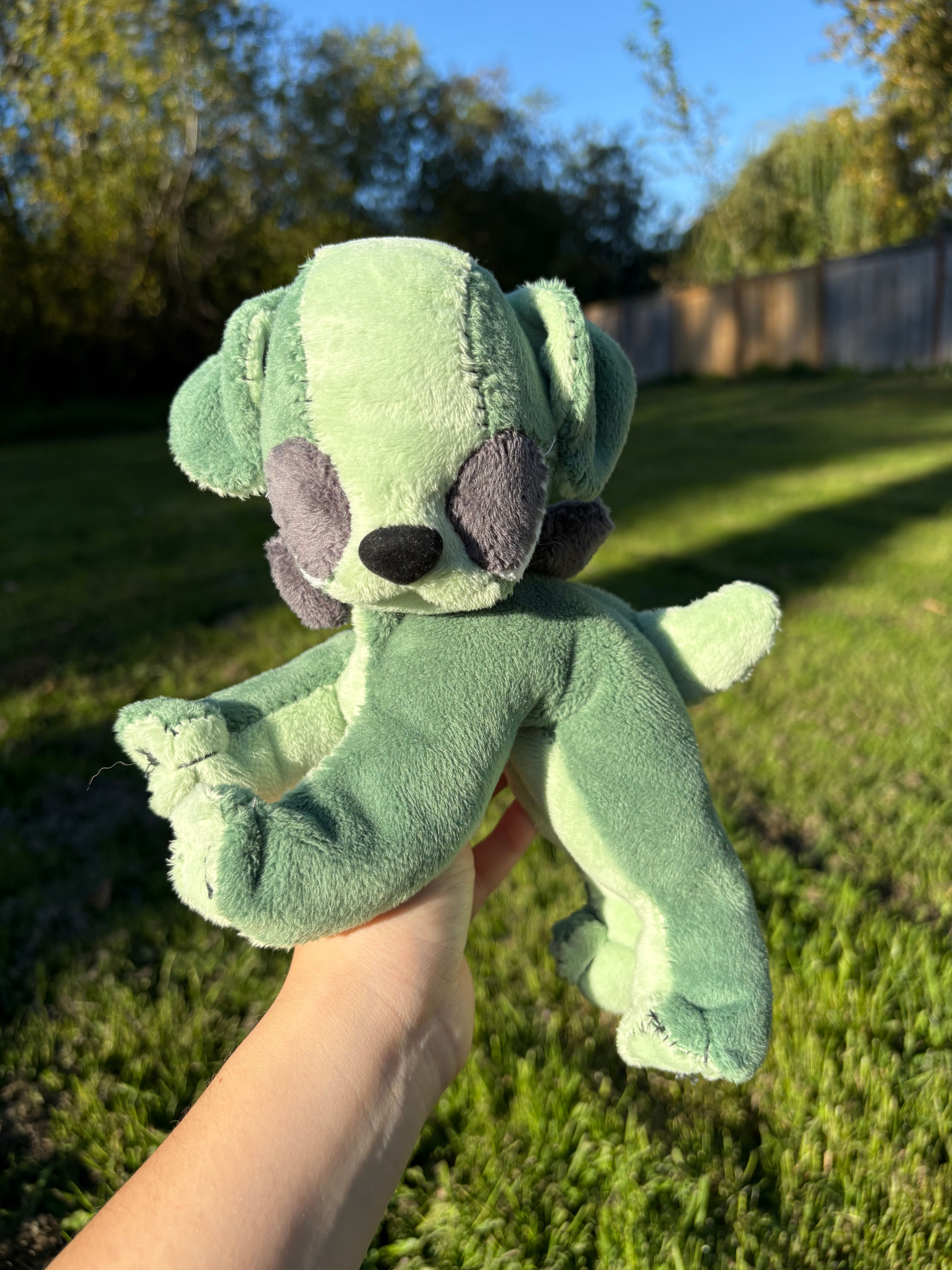 Stein the FrankenPuppy!