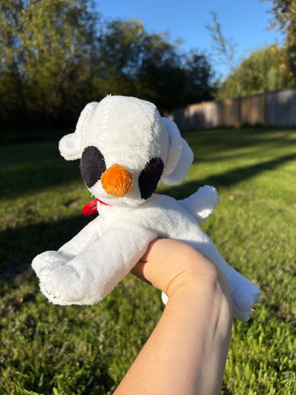 Thumbnail: Zero the Halloween Ghost Puppy