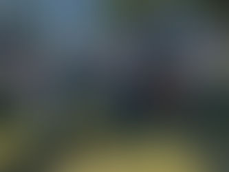 Estamos presentes no último dia do Trator Fest na Colônia Nova!