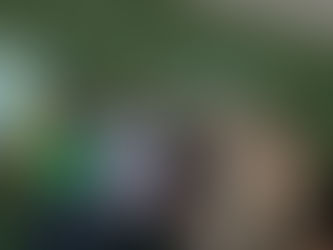 Fortalecimento de iniciativas voltadas à educação, qualificação profissional e desenvolvimento.