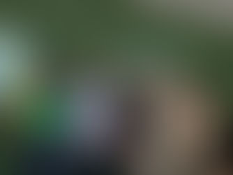 Fortalecimento de iniciativas voltadas à educação, qualificação profissional e desenvolvimento.