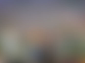 Imersão do grupo FLF durante a Expointer