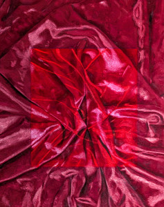 Aly Lloyd velvet painting